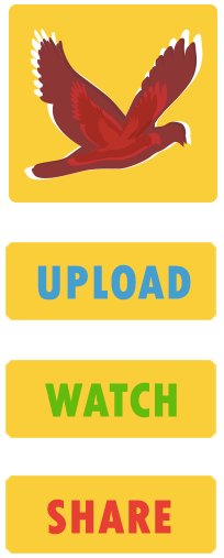 iVlog™